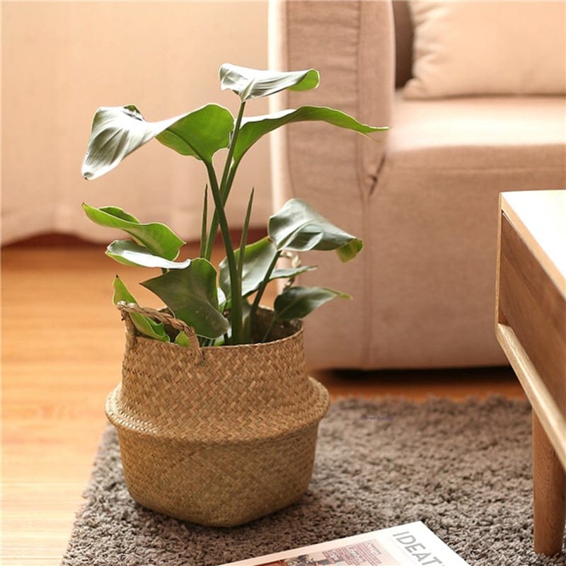 MIRLO plant basket with handles, view 4