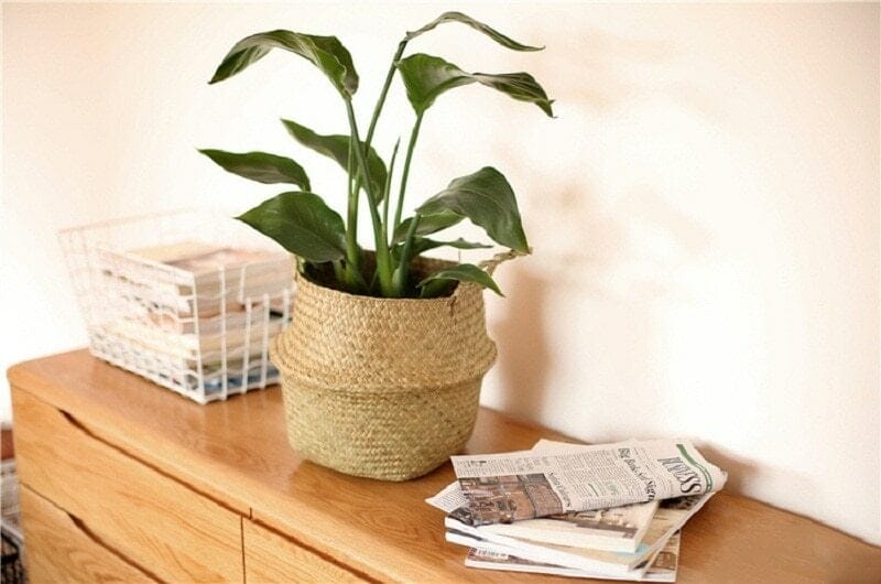 MIRLO plant basket with handles, view 3