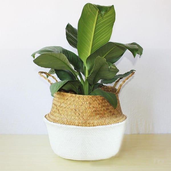 IBICENCA plant basket