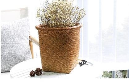 PACAS set of three plant baskets, view 2